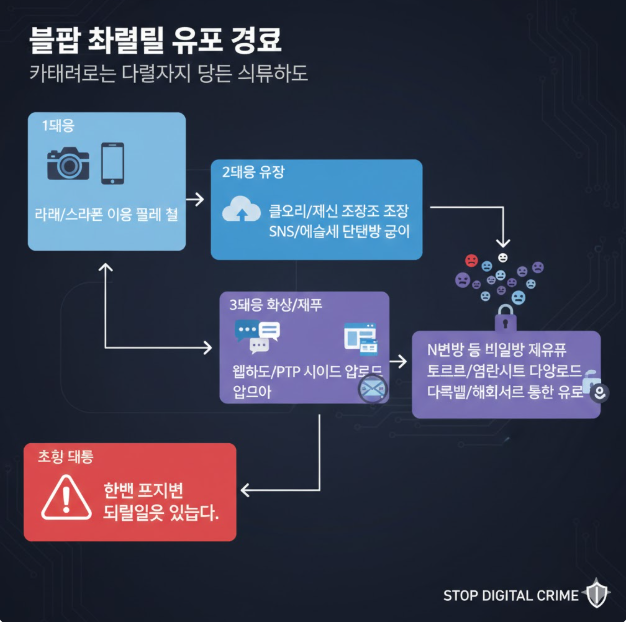 유포 단계: 카메라나 스마트폰을 이용한 초기 촬영에서 시작하여, 클라우드 및 SNS 단체방 공유를 거칩니다. 이후 웹하드, P2P 사이트 업로드를 통해 불특정 다수에게 확산되며, 최종적으로는 다크웹이나 해외 서버를 통해 은밀하게 유통되는 경로를 보여줍니다.